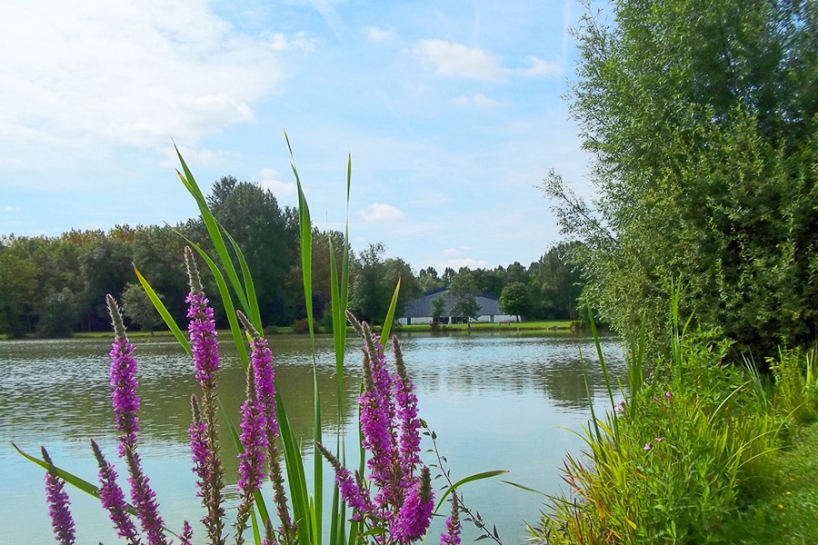Camping de l'Aigrette — 4