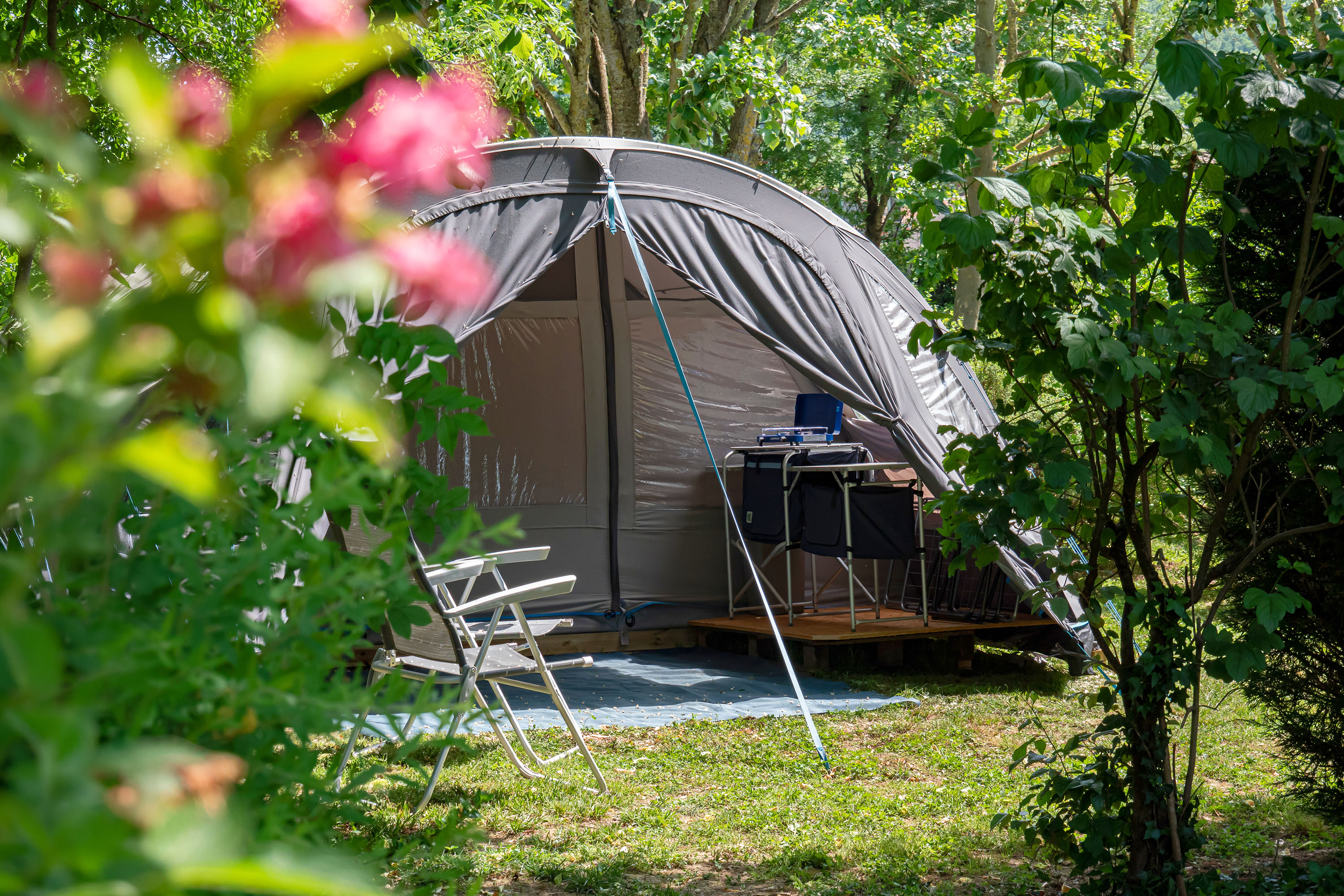 Flower Camping St. Martin — 4