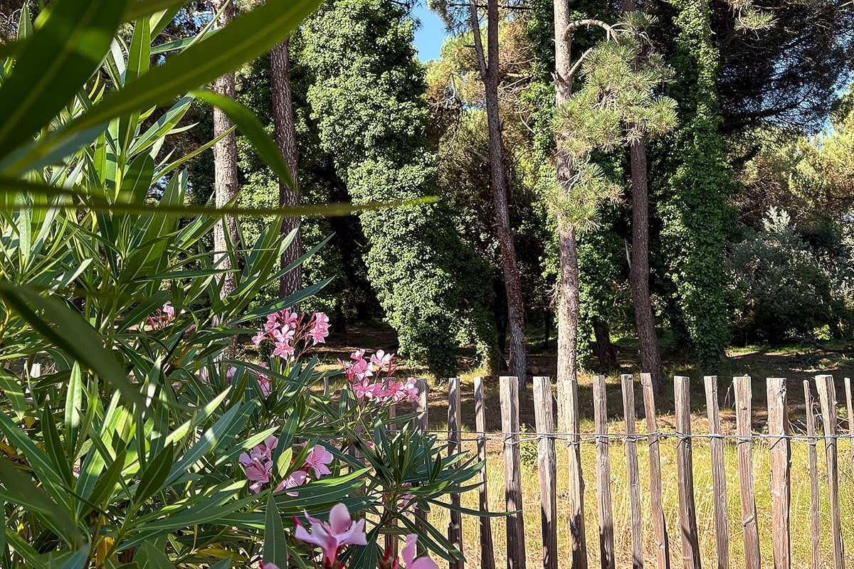 Camping Les Dunes — 4