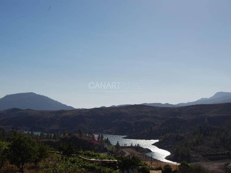 image126667