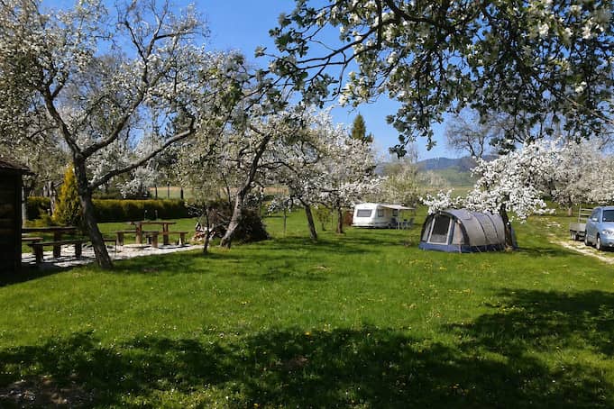 Campsite photo 1