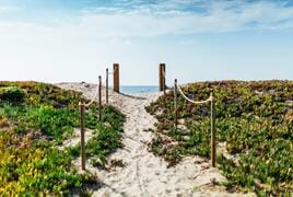 Camping Miramar – billede 2