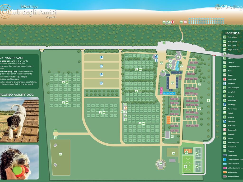 View map
